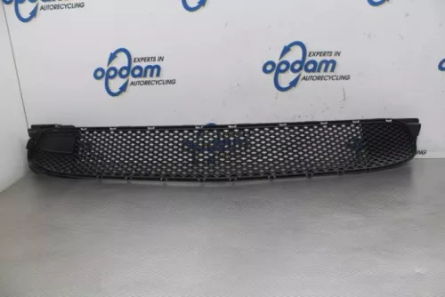 Bumper Rooster-8073752