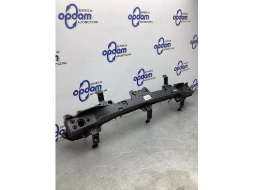Bumperframe achter-8243870 (21403976)