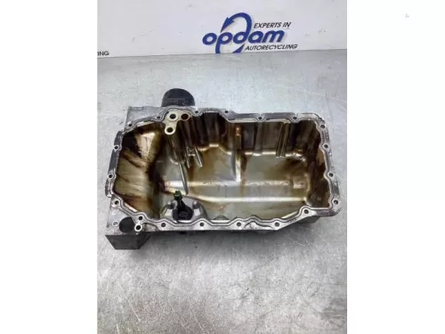 Carterpan-7616367 (18561679)