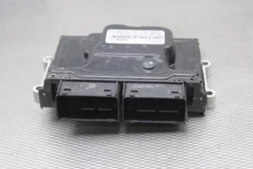 Computer Motormanagement-8209294 (21786108)