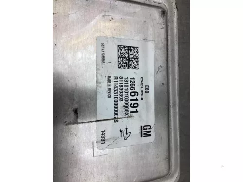 Computer Motormanagement-8029827 (19032676)