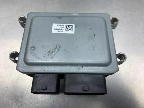 Computer Motormanagement-8232623 (21678216)
