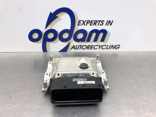 Computer Motormanagement-8118144