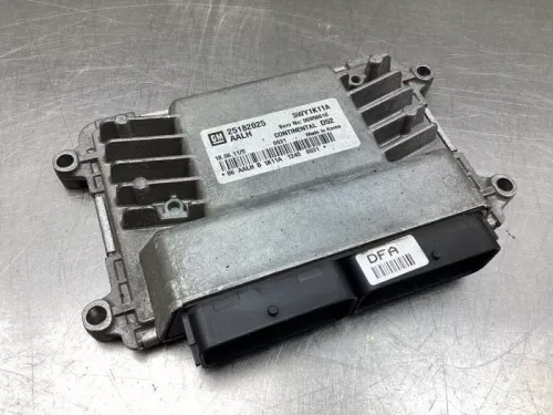 Computer Motormanagement-8046543 (19535965)