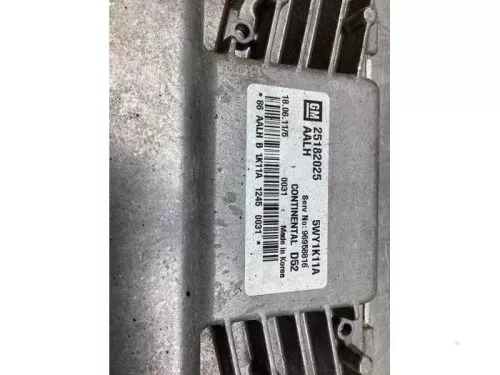 Computer Motormanagement-8046543 (19535965)