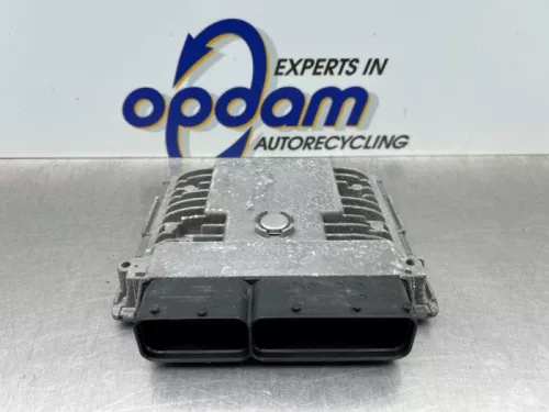 Computer Motormanagement-8218362 (21598689)