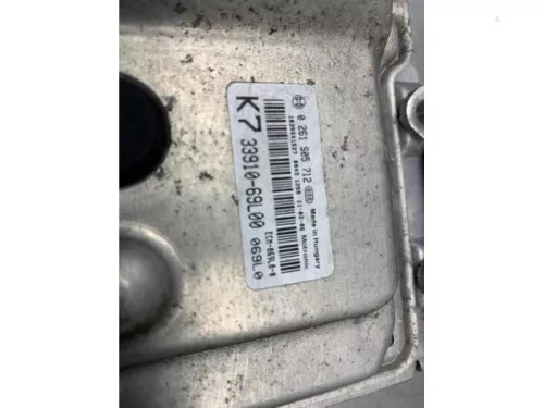 Computer Motormanagement-8219767 (21639308)