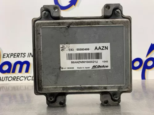 Computer Motormanagement-8099823 (21459988)