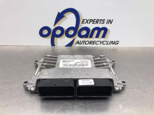 Computer Motormanagement-8206281 (21173742)
