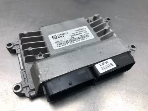 Computer Motormanagement-8206281 (21173742)
