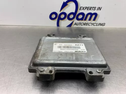 Computer Motormanagement-8256003