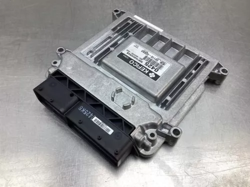 Computer Motormanagement-8033064 (18851180)