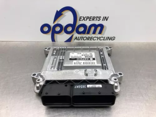 Computer Motormanagement-8160525