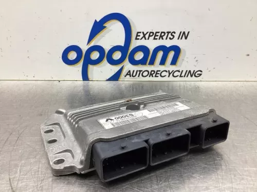 Computer Motormanagement-8039010