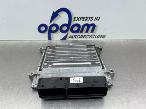 Computer Motormanagement-8188069 (22570103)