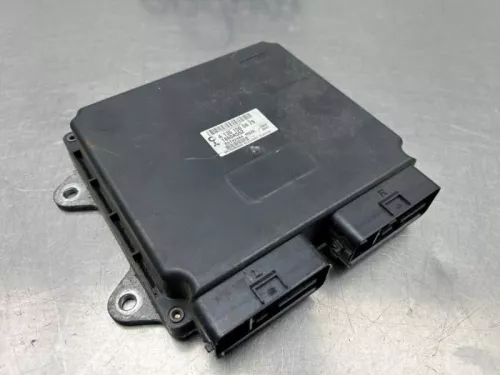 Computer Motormanagement-8238215 (22437727)
