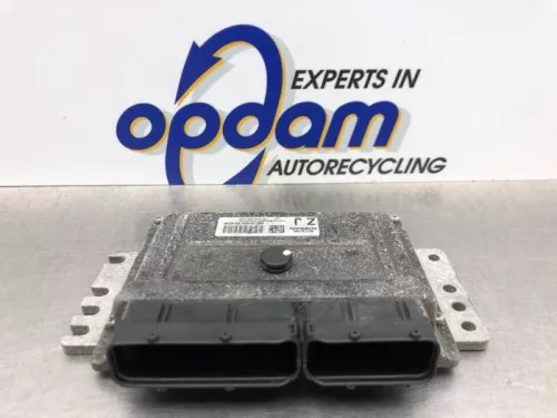 Computer Motormanagement-8189454 (20965451)
