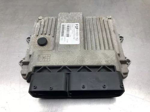 Computer Motormanagement-8166461 (20393918)