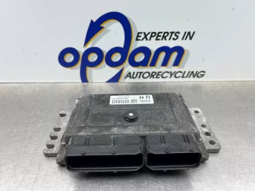 Computer Motormanagement-8301353 (22307630)
