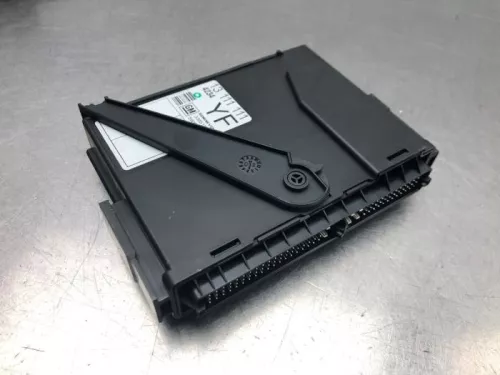 Computer Motormanagement-8185459 (20646744)