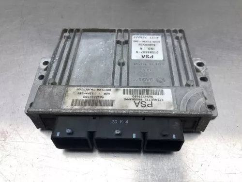 Computer Motormanagement-8153295 (20252450)