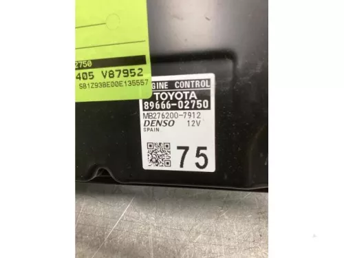 Computer Motormanagement-8024932 (21075112)