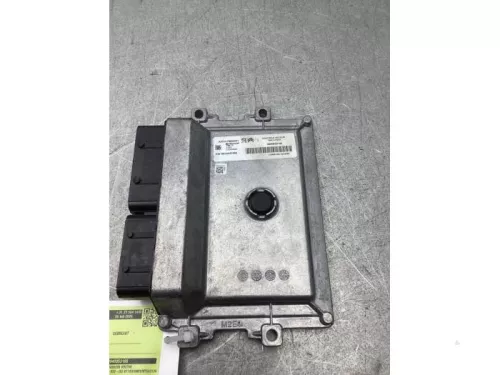 Computer Motormanagement-8288413 (22226562)