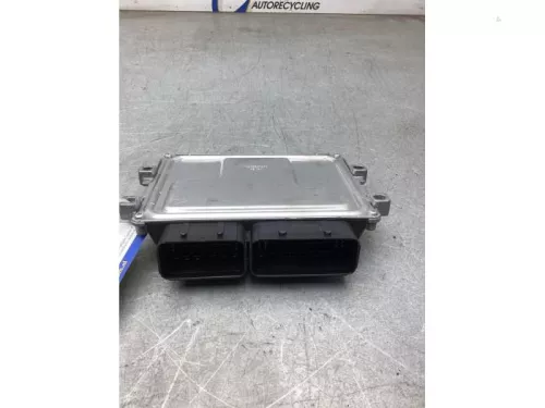 Computer Motormanagement-8288413 (22226562)