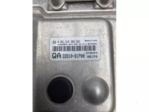 Computer Motormanagement-8025281 (18765282)