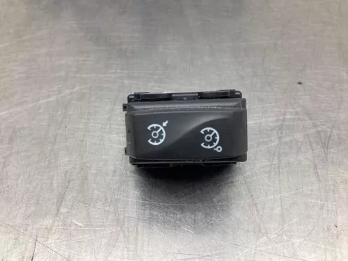 Cruise Control Bediening-8010216