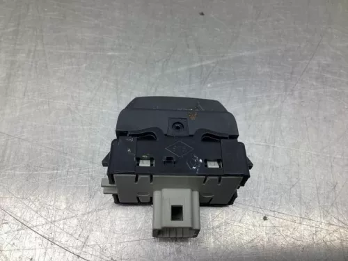 Cruise Control Bediening-8010216 (19105683)