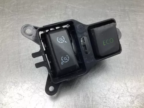 Cruise Control Bediening-8059555 (19558546)