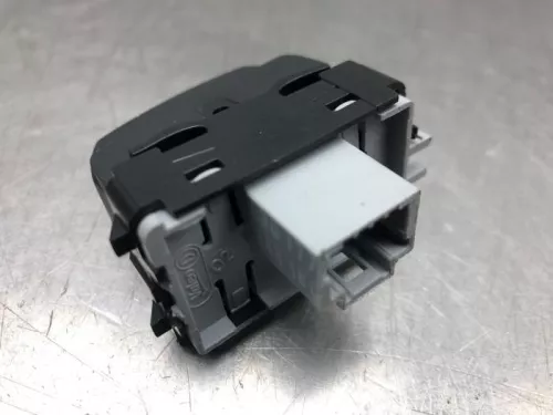 Cruise Control Bediening-8081229 (20426977)