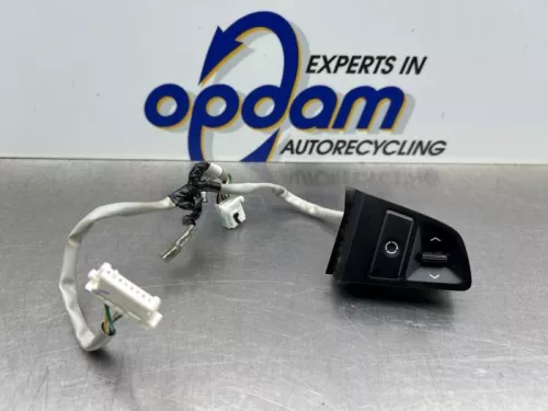 Cruise Control Bediening-8280989 (22065375)