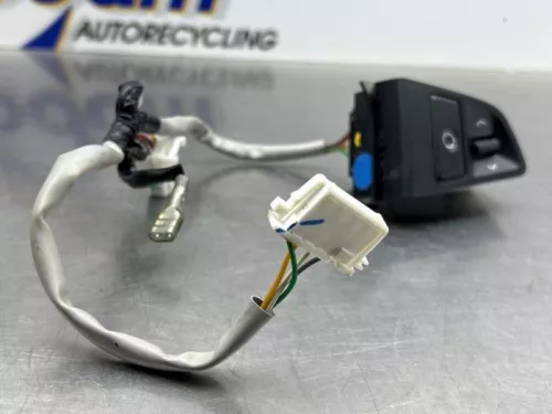 Cruise Control Bediening-8280989 (22065375)