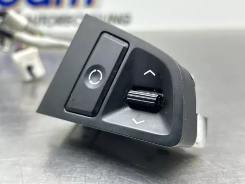 Cruise Control Bediening-8280989 (22065375)