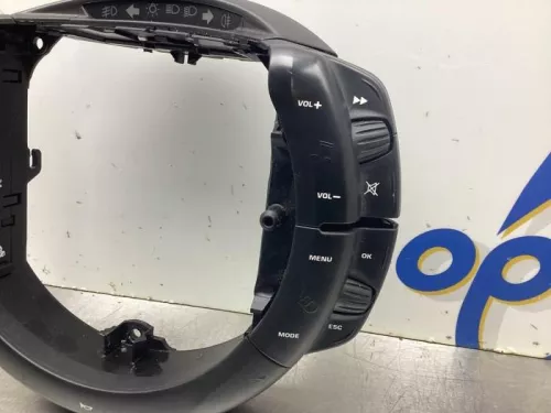 Cruise Control Bediening-8048634 (19170574)