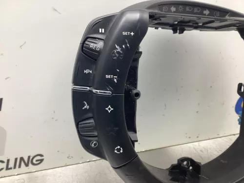 Cruise Control Bediening-8048634 (19170574)