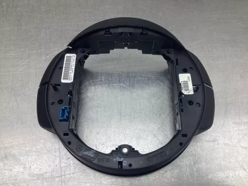 Cruise Control Bediening-8048634 (19170574)