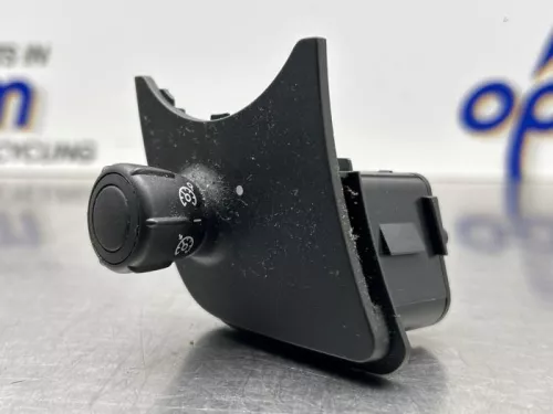 Cruise Control Bediening-8310091 (22451551)