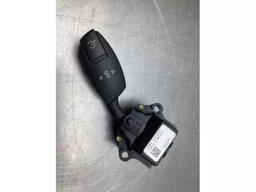 Cruise Control Bediening-7929197 (18624091)