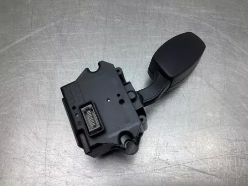 Cruise Control Bediening-7929197 (18624091)