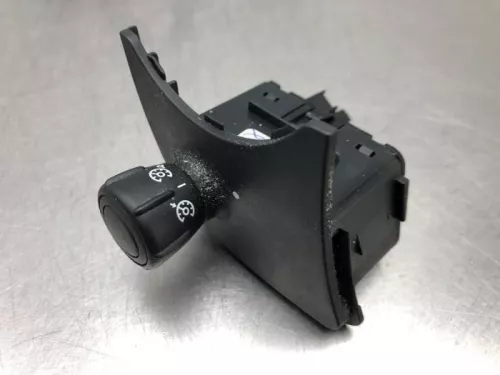 Cruise Control Bediening-8213546 (21026049)