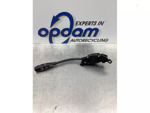 Cruise Control Bediening-7738519