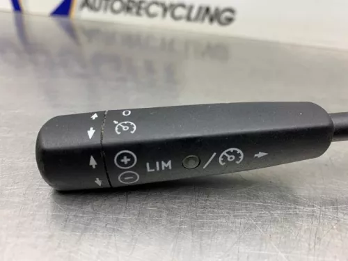 Cruise Control Bediening-8250848 (21534082)