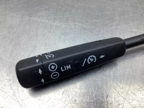 Cruise Control Bediening-8063539 (19038389)