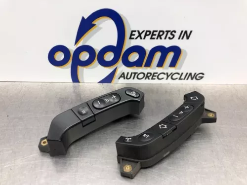 Cruise Control Bediening-8189861 (20879585)