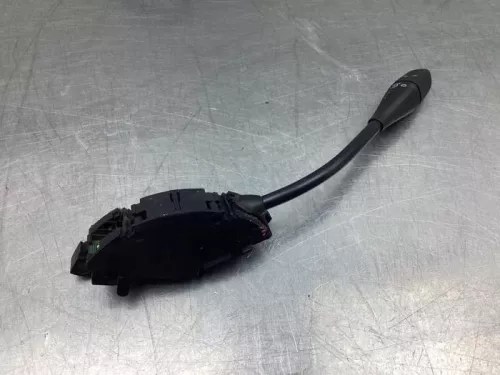 Cruise Control Bediening-7849146 (18773068)
