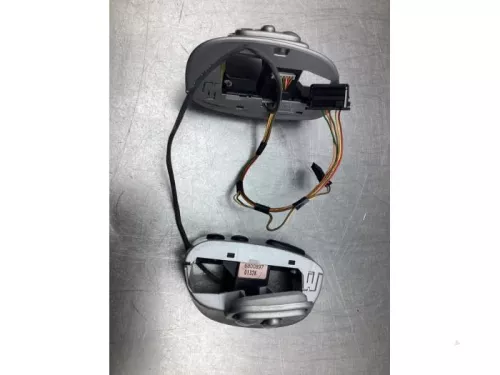Cruise Control Bediening-7576967 (17678173)
