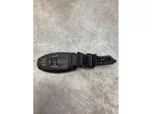 Cruise Control Bediening-8103469 (21539964)